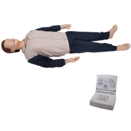 高级自动心肺复苏训练模拟人
