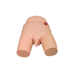 高级男性导尿模型