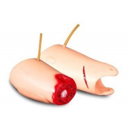 控制出血大腿模型